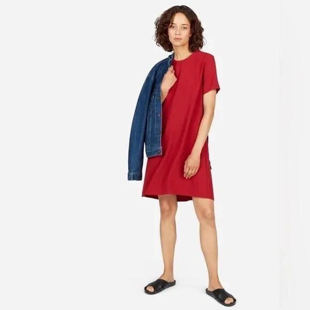 Everlane Japanese GoWeave Red Swing  Dress